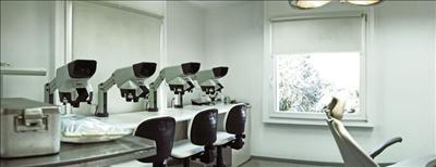 Transmed: Hair restoration and cosmetic surgery