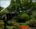 Bumrungrad Hospital on Focus Asia