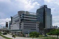 The Stem Cell Institute