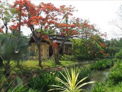 Breathing Space Thailand