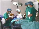 Aesthetic Implantology Clinic - Esthetic Implantology Clinic