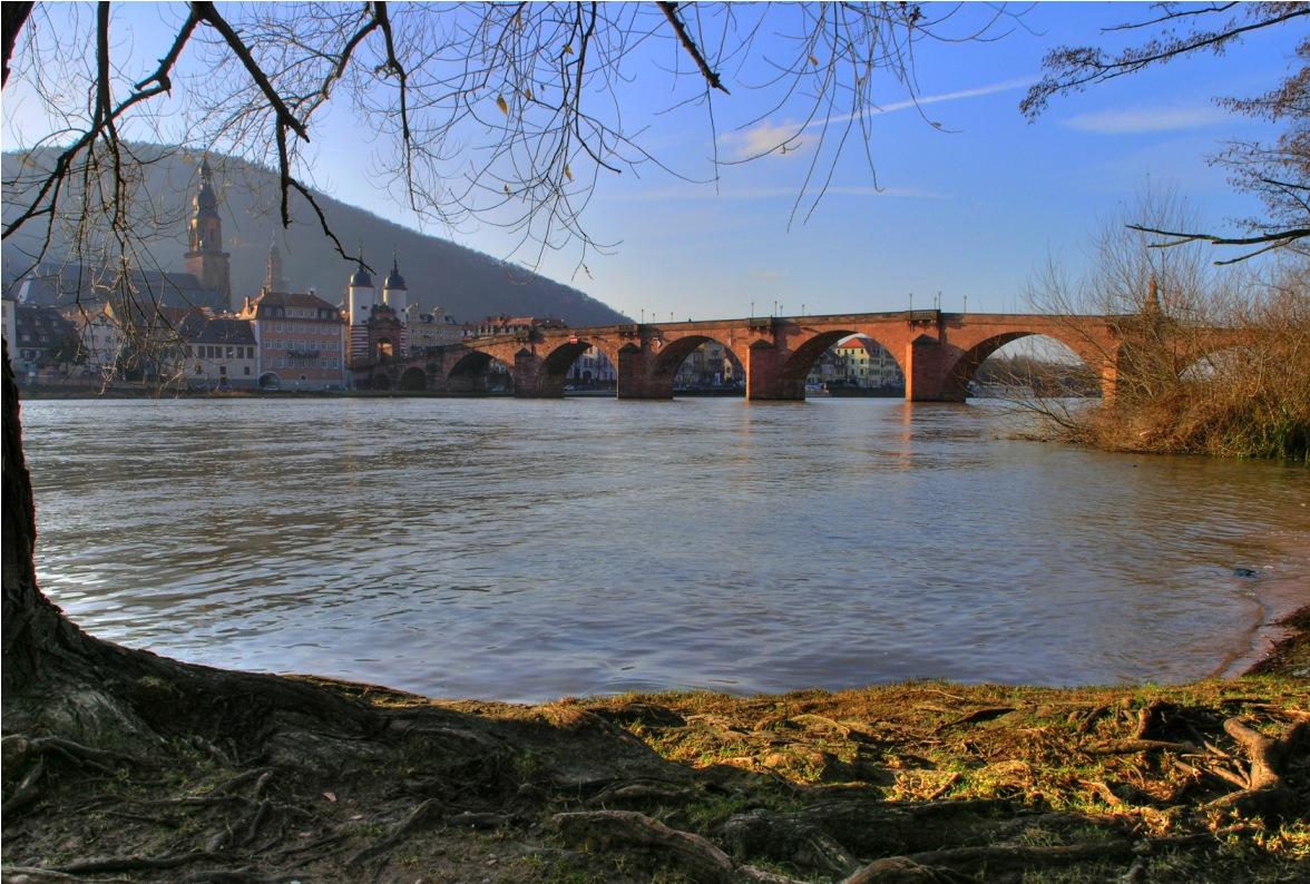 Neckar River - Heidelberg University Hospital