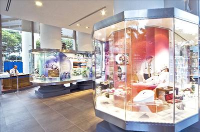 SGH Museum Gallery - Singapore General Hospital