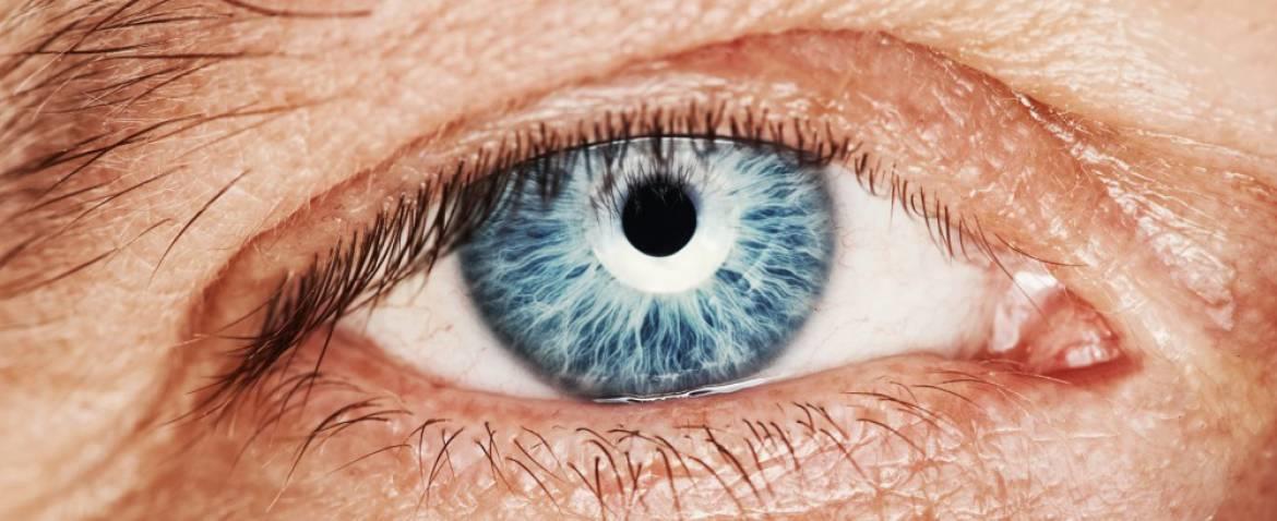 Instituto Balear de Oftalmología (IBO)