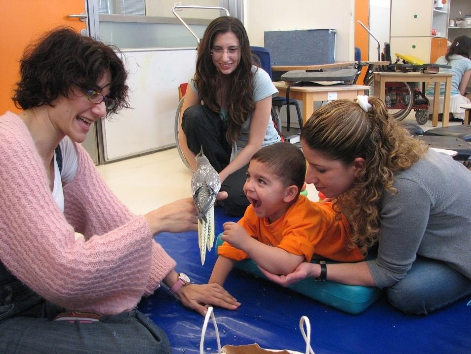 Animals - Alyn Hospital