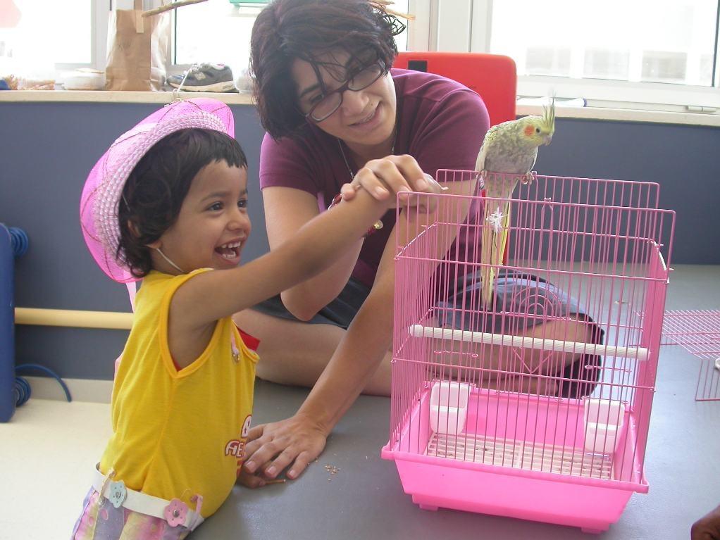 Animals - Alyn Hospital