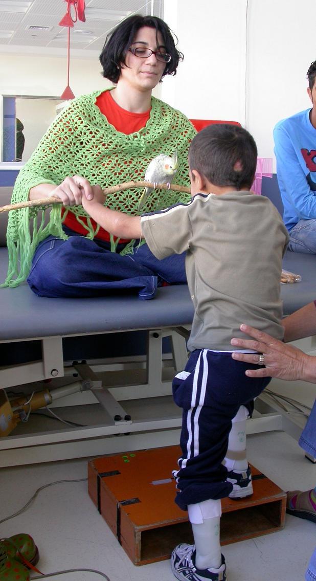 Animals - Alyn Hospital