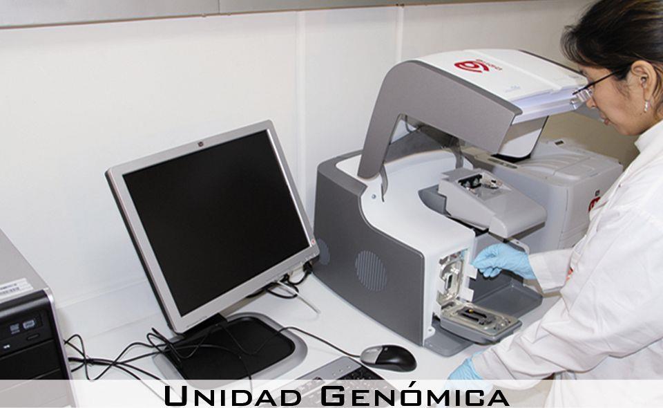Instituto Neuro Cardiovascular de las Américas