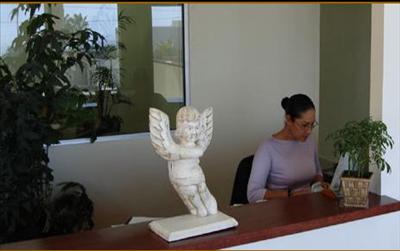 Miguelangelo Plastic Surgery Clinic