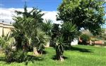 Home 5 Stars Garden - Hellenic Practice