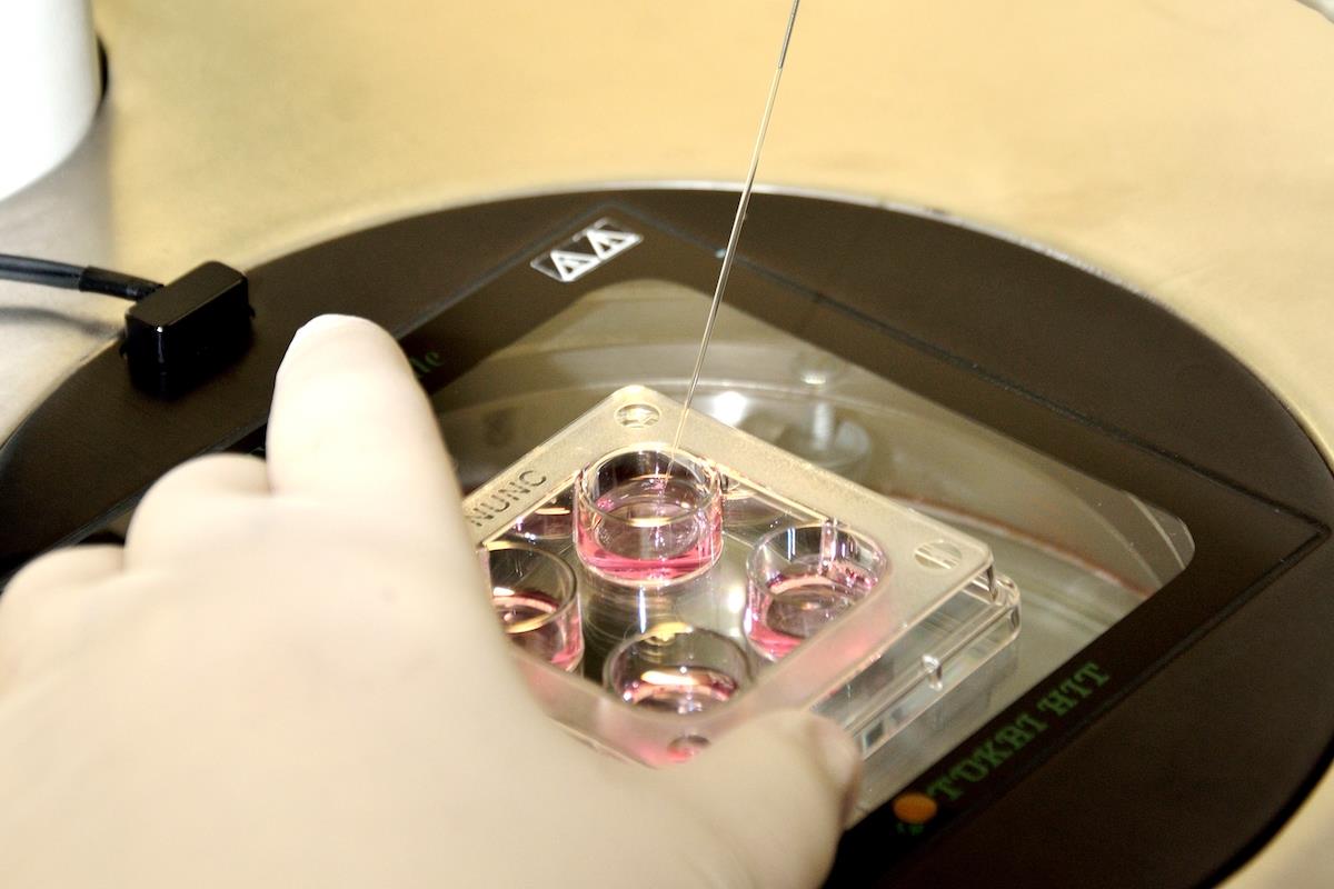 ADONIS FAMILY Medical Center