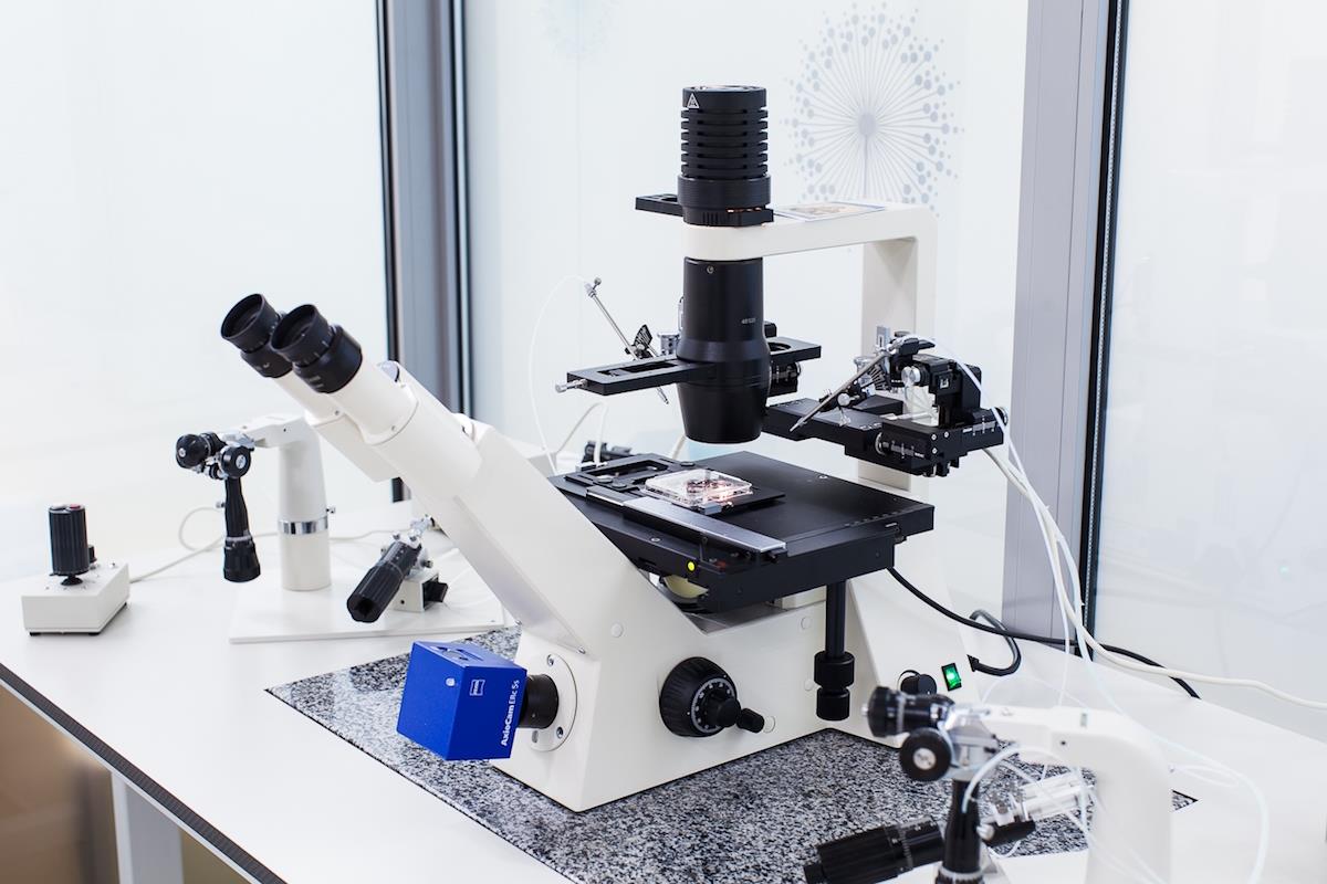 ADONIS FAMILY Medical Center