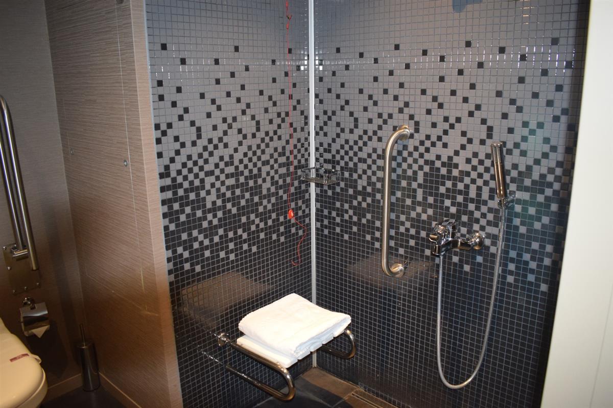 Hermes Clinic - Patient Room (Bathroom) - Hermes Clinics