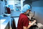 Fertility Area - The Fertility Institutes