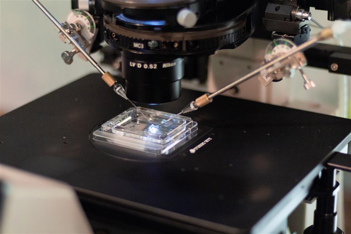 Clinica Tambre - Lab Technology - Clínica Tambre