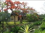 Breathing Space Thailand
