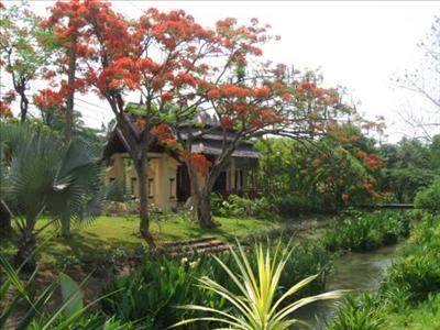 Breathing Space Thailand
