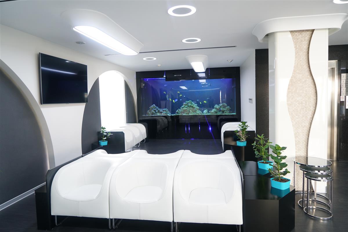 Waiting Room - Vera Clinic