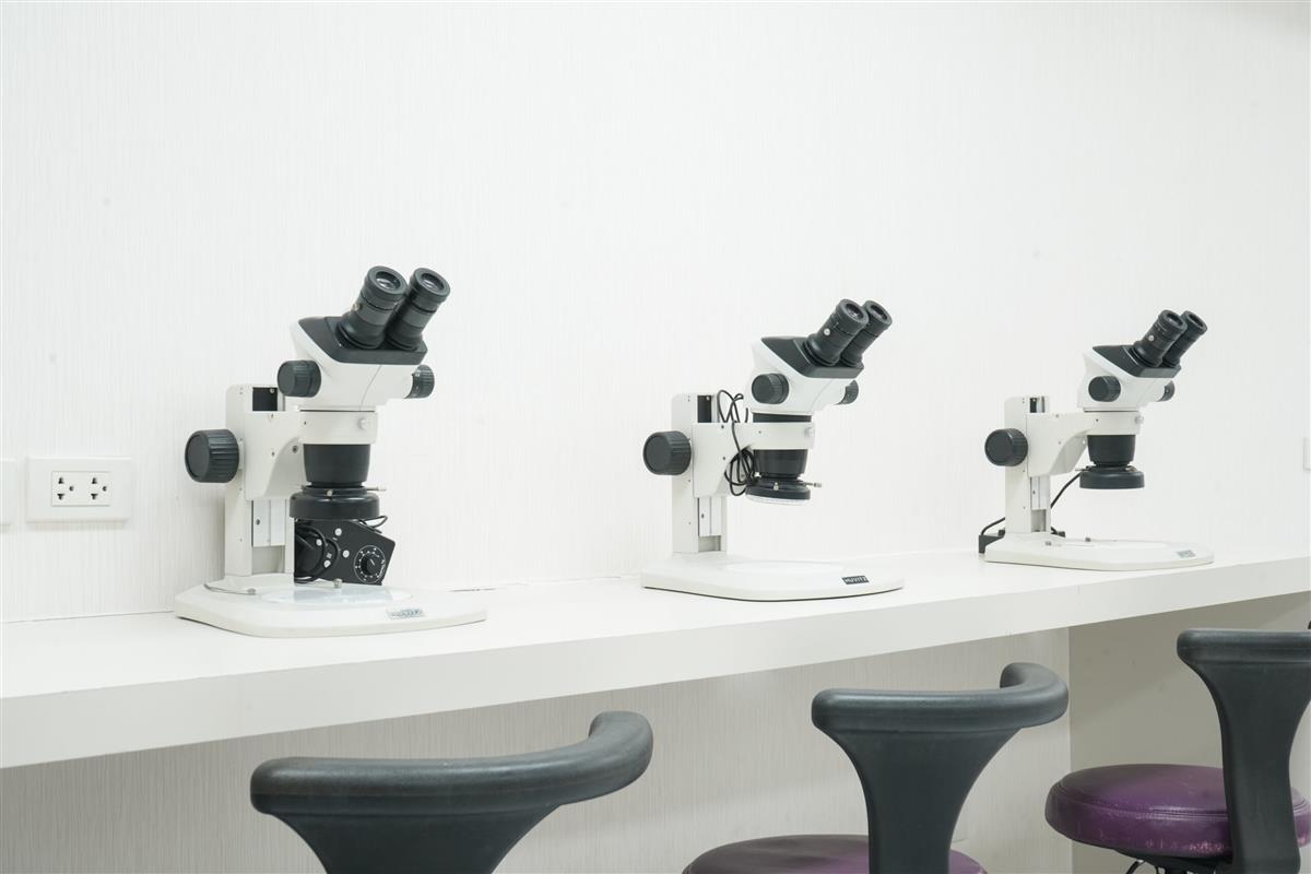 FULL HAIR by DHT CLINIC - DHT HAIR CLINIC