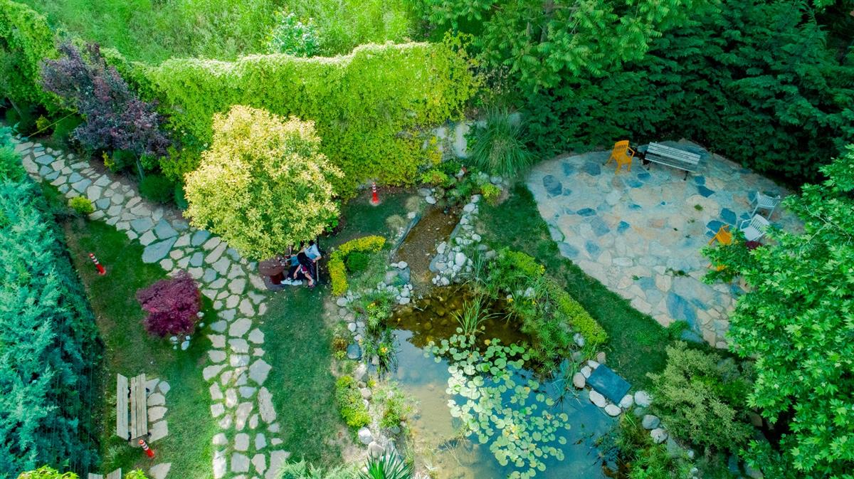 Garden - MOODIST HOSPITAL