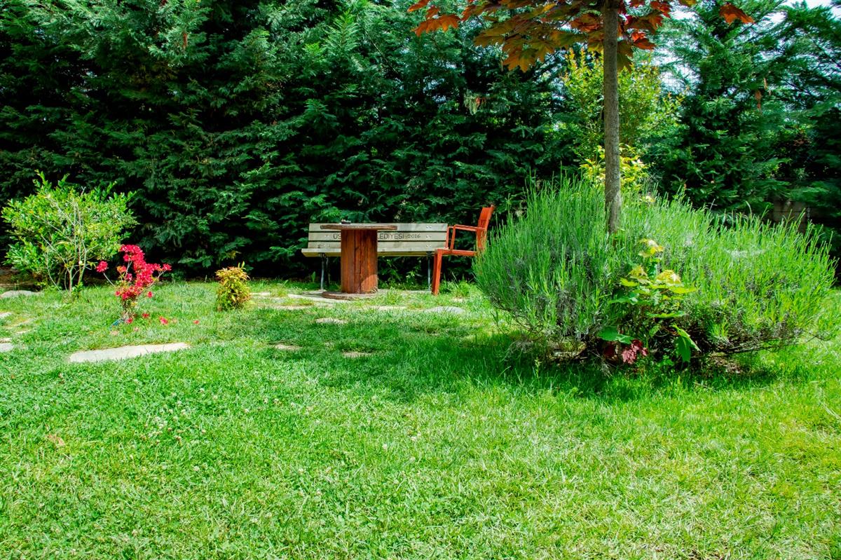 Garden - MOODIST HOSPITAL