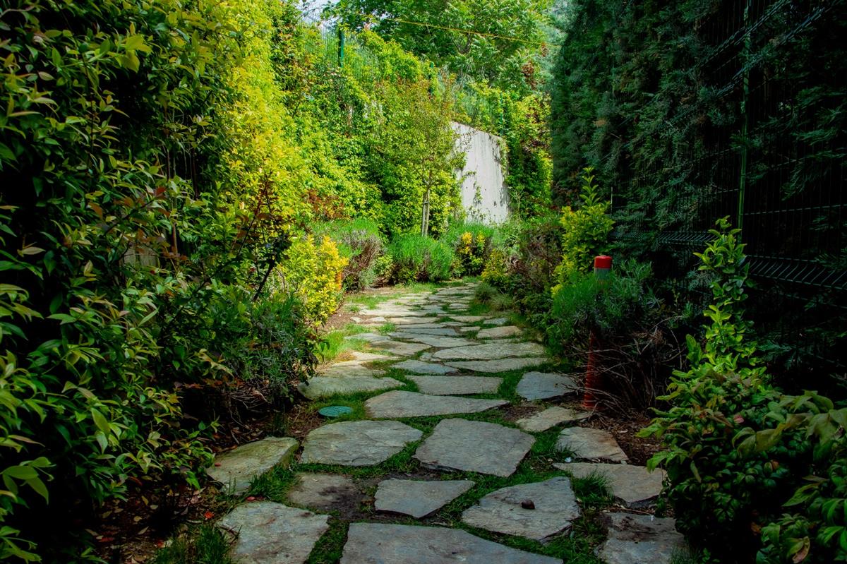 Garden - MOODIST HOSPITAL