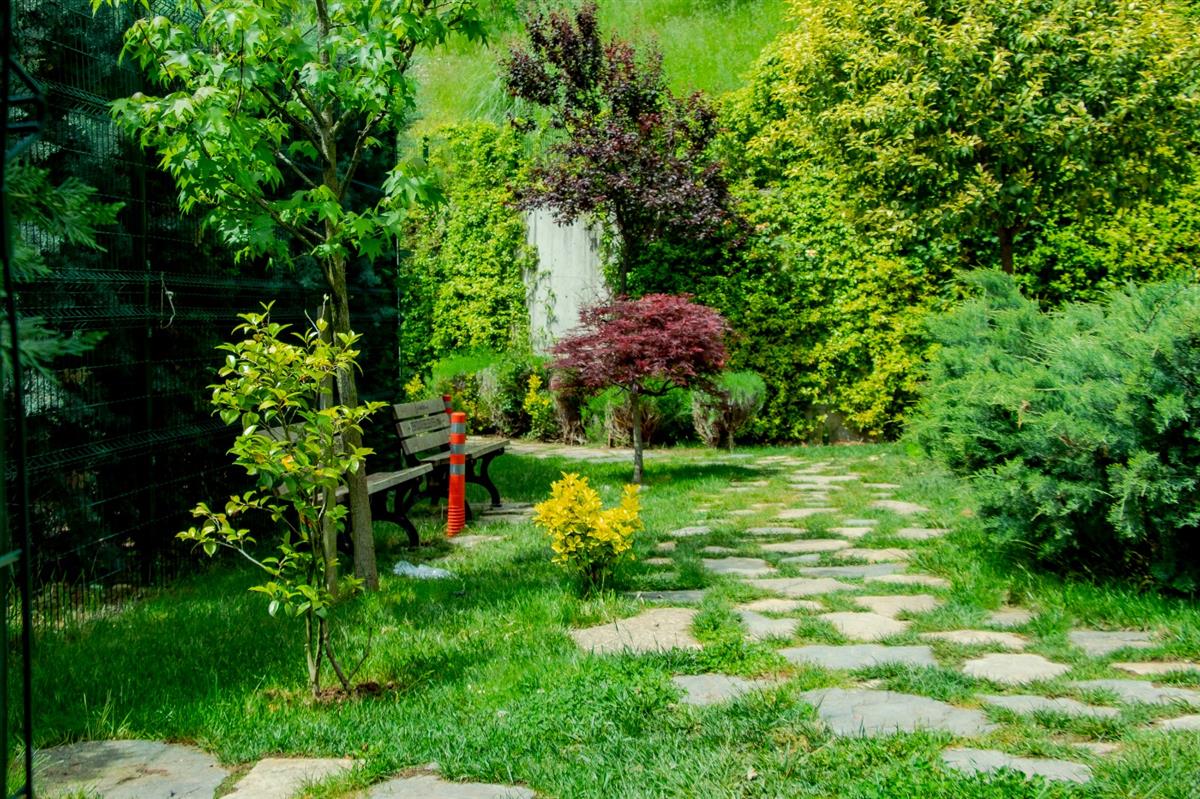 Garden - MOODIST HOSPITAL