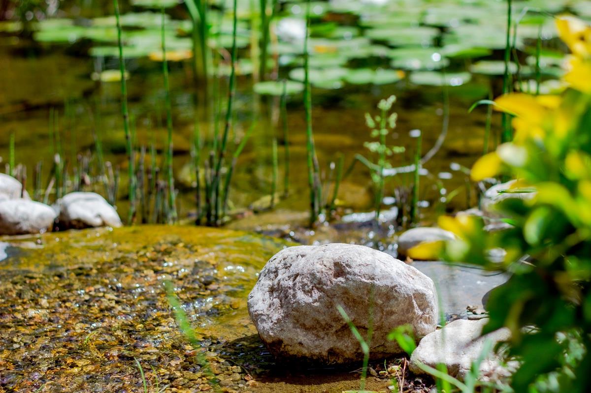 Garden - MOODIST HOSPITAL