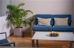 Calm Place to Talk - NeuroTest24