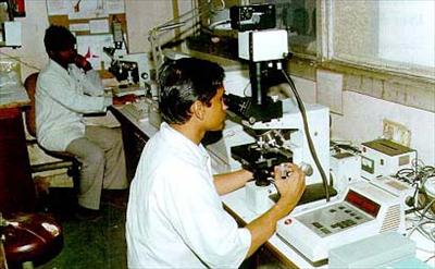 Primate Implantation Biology Laboratory - All India Institute of Medical Science (AIIMS)