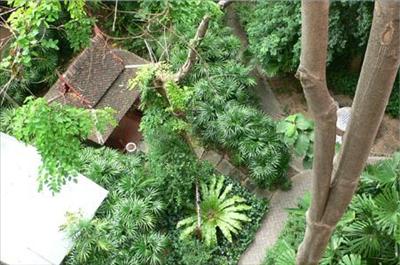 Pattaya International - Pattaya International Hospital