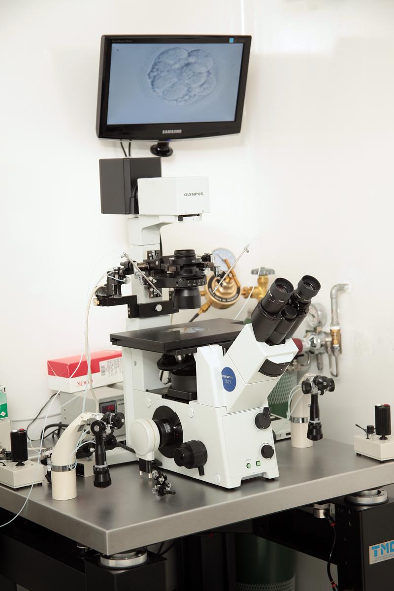 Laboratory Area - INSEMER