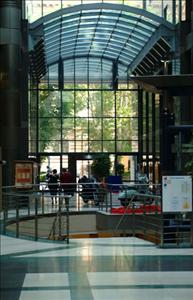 Aesthetica International Medical - Aesthetica International Medical Center