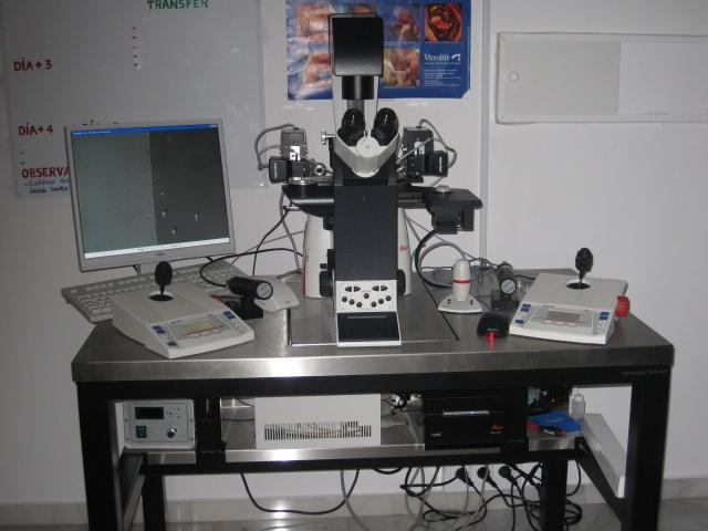 Laboratory - Centro de Reprodución Asistida de Marbella SLP - CERAM