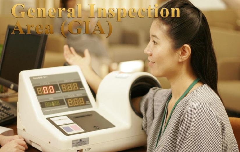 General Inspection Area - Golden Horses Health Sanctuary