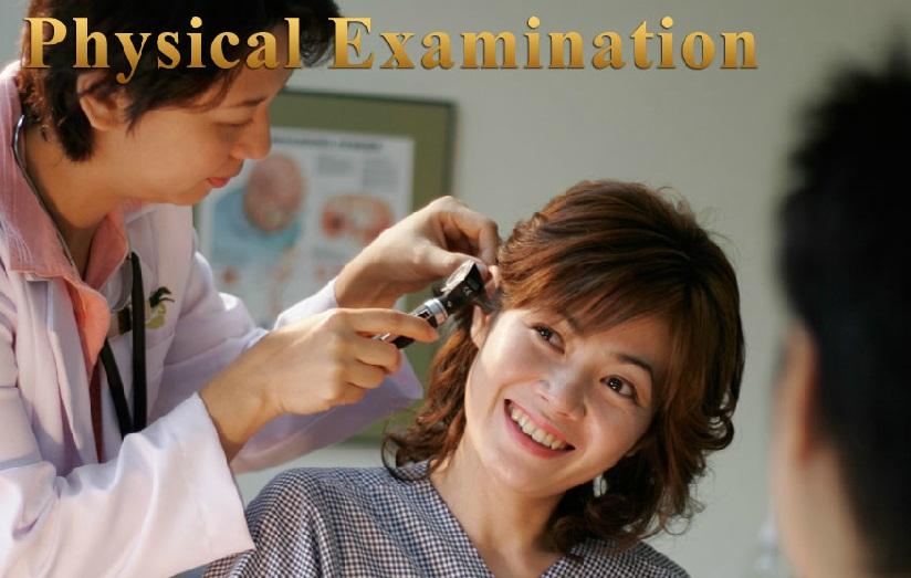 Physical Examination - Golden Horses Health Sanctuary