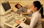 Ultrasound - Golden Horses Health Sanctuary