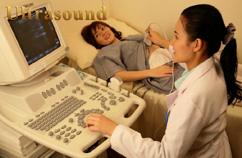 Ultrasound - Golden Horses Health Sanctuary