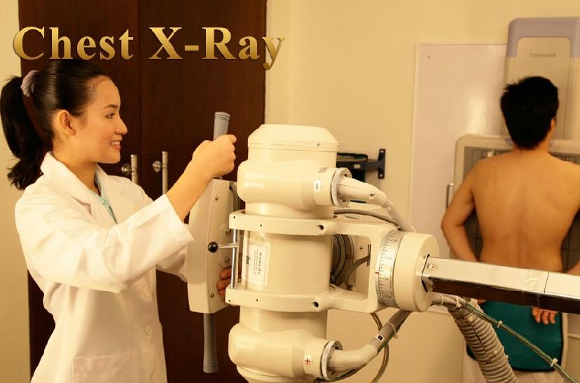 Chest Xray - Golden Horses Health Sanctuary