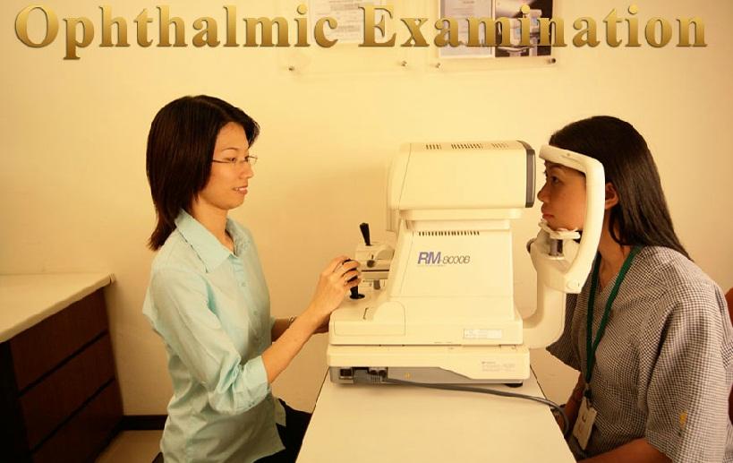 Ophthalmic Examination - Golden Horses Health Sanctuary