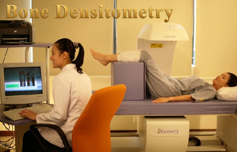 Bone Densitometry - Golden Horses Health Sanctuary