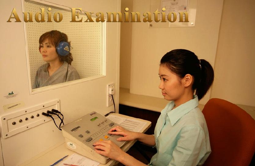 Audio Examination - Golden Horses Health Sanctuary
