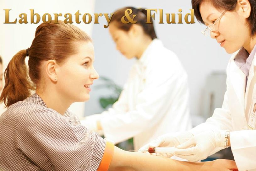Laboratory and Fluid Area - Golden Horses Health Sanctuary