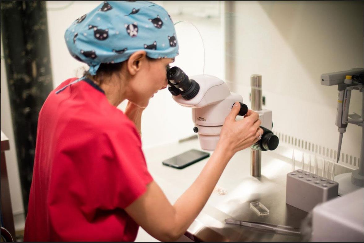 Laboratory and Equipment – Kyrenia IVF Center