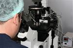 North Cyprus Fertility Clinic