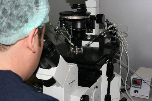 North Cyprus Fertility Clinic