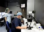 North Cyprus Fertility Clinic