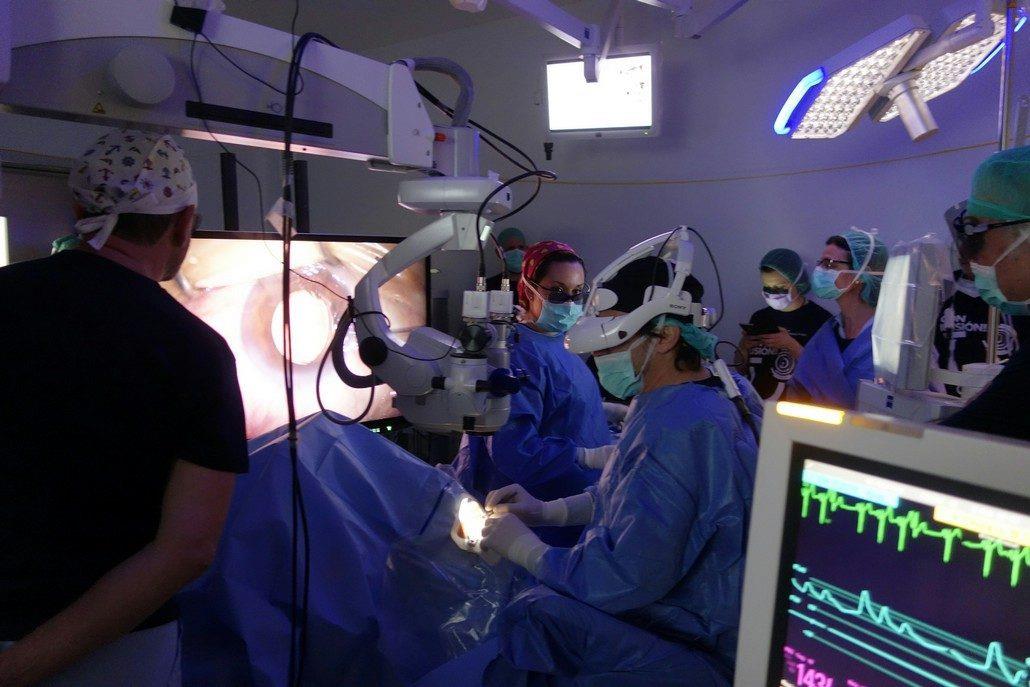 HM Hospitales