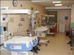 Neonatal Intensive Therapy - Hospital Country 2000