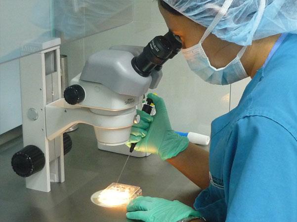 Punta Pacifica Fertility Center - IVF Panama Centro De Reproduccion Punta Pacifica